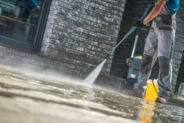 Animal Enclosure Cleaning in Boise City, OK