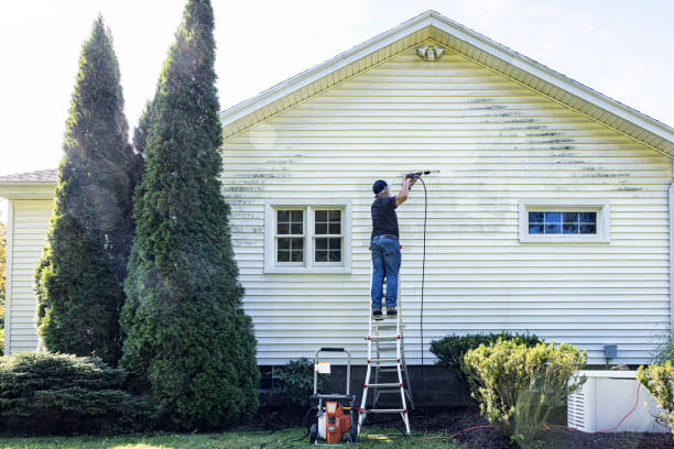Best Building Exterior Washing  in Boise City, OK
